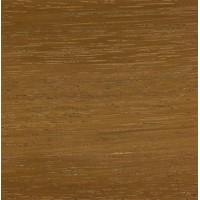 Tanga Tanga Blanks
