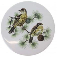 Ceramic Tile Thrush