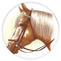 Ceramic Tile Horses Head [B]