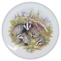 Ceramic Tile Badger