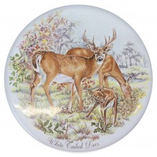 Ceramic Tile White Tailed Deer