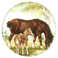 Ceramic Tile Horse and Foal [A]