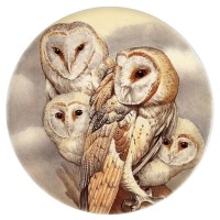 Ceramic Tile Barn Owl