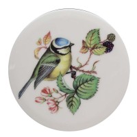 Blue Tit Coaster Tile