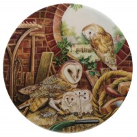 Ceramic Tile Owl Family