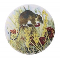 Door Mouse
