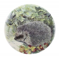 Ceramic Tile Hedgehog