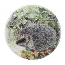 Ceramic Tile Hedgehog