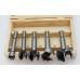 Forstner Drill Set