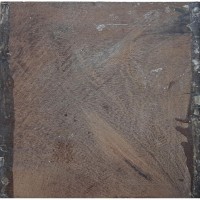 Knob Thorn Blanks